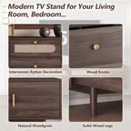 Arjun Modern 76 Wood TV Stand with Drawers and Rattan Storage Cabinet