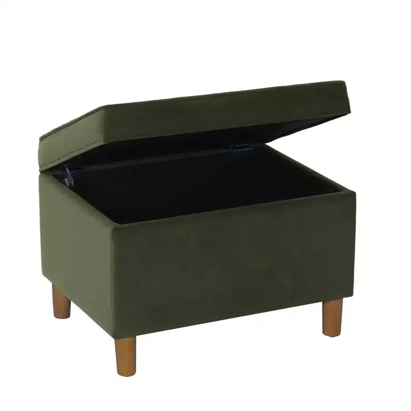 24" Dinah Storage Ottoman