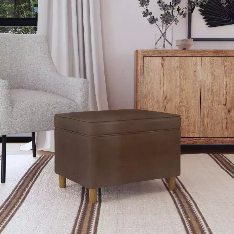 24" Dinah Storage Ottoman