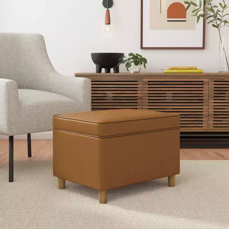 24" Dinah Storage Ottoman