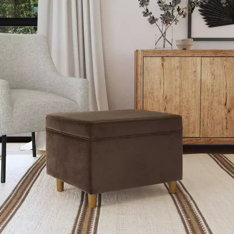 24" Dinah Storage Ottoman
